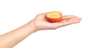 Beyaz arka planda izole edilmiş, olgunlaşmış yakut erik meyvesi.