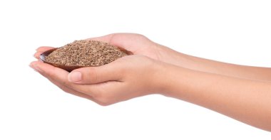 Beyaz arka planda yalıtılmış dereotu tohumlarının el ele tutuşması.