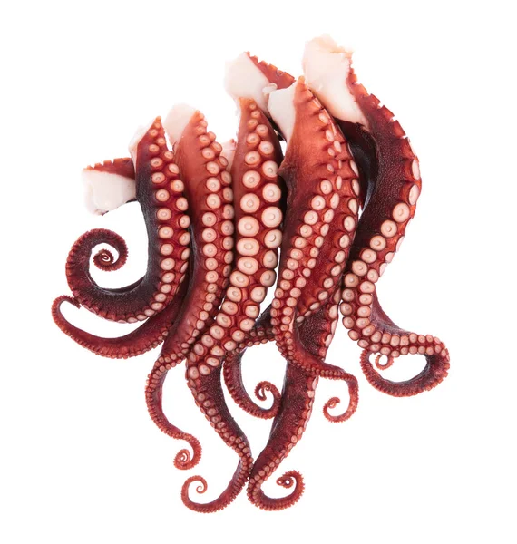 Beyaz arka plan üzerinde izole ahtapot tentacles
