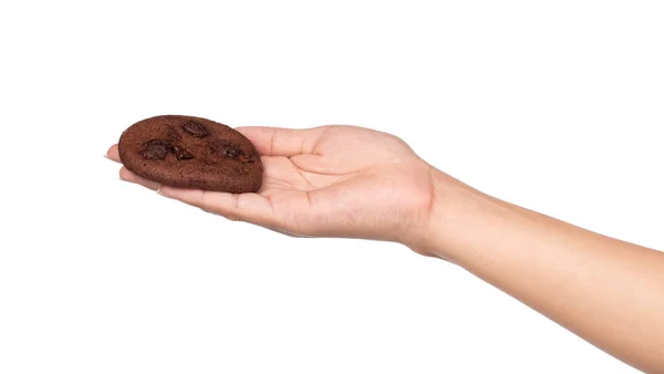 Mão Segurando Chocolate Chip Cookies Isolado Fundo Branco — Fotografia de Stock