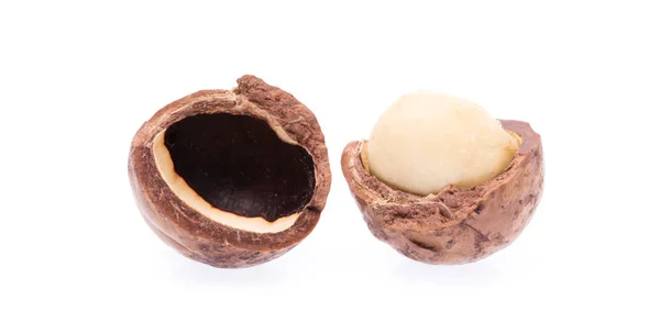 Macadamia Fındığı Beyaz Arkaplanda Izole Edildi — Stok fotoğraf
