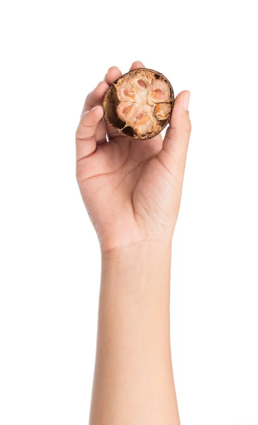Hand Holding Arhat Fruit Isolated White Background — Stock Photo, Image