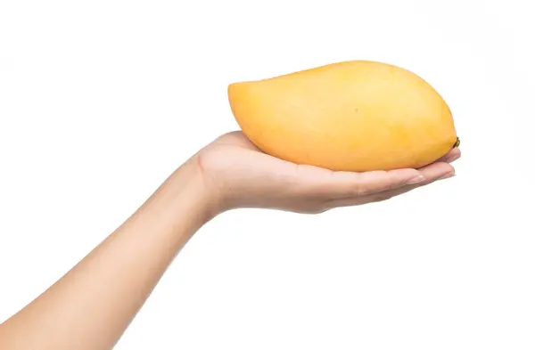 Handbedrijf Mango Fruit Geïsoleerd Witte Achtergrond — Stockfoto