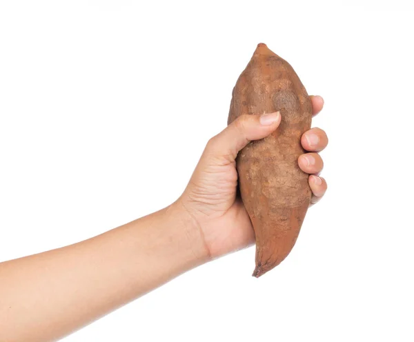 Ręka Gospodarstwa Świeże Ziemniaki Ignamu Izolowane Białym Tle — Zdjęcie stockowe