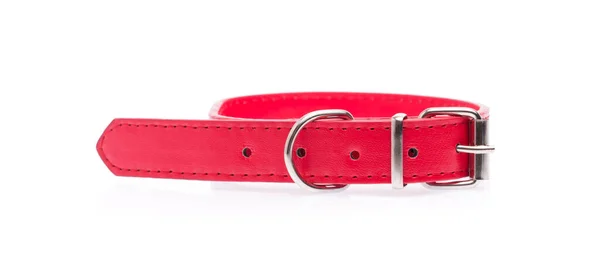 Collare Cane Rosso Isolato Sfondo Bianco — Foto Stock