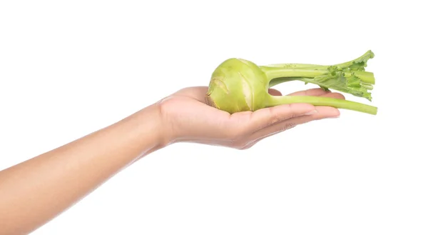 Mano Tenuta Fresco Cavolo Rapa Brassica Oleracea Isolato Sfondo Bianco — Foto Stock