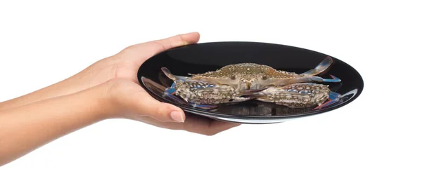 Hand Hält Rohe Krabbe Auf Einem Schwarzen Teller Isoliert Auf — Stockfoto
