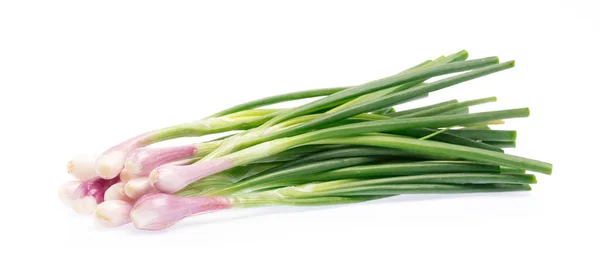 Onion Spring Isolated White Background — Stock Photo, Image