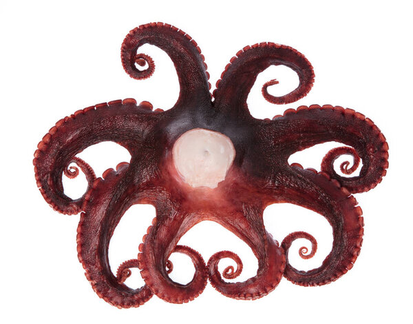 Мбаппе из скрюченных щупалец, изолированных на белом фоне
