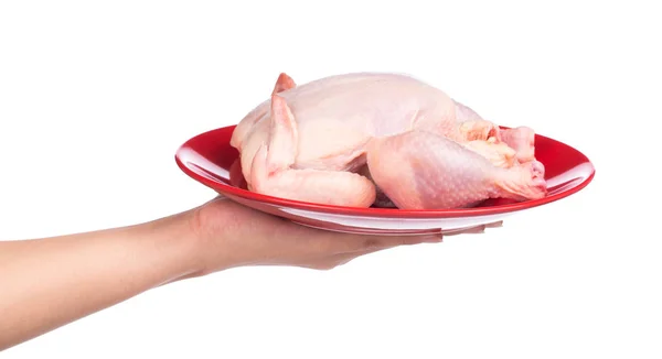 Hand Hält Rohes Huhn Auf Einem Roten Teller Isoliert Auf — Stockfoto