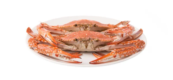 Dish Seafood Crab Dish Isolated White Background — Stock Photo, Image