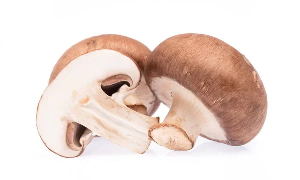 Cut Champignon Mushroom Isolated White Background Stock Picture