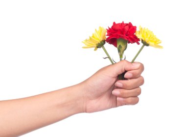 Beyaz arka planda izole edilmiş bir buket kasımpatı çiçeği..