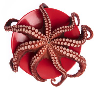 Beyaz arkaplanda izole edilmiş tabağın üzerindeki mürekkep balığı dokunaçlarının güzelliği