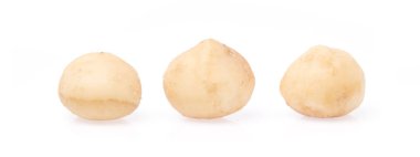 Macadamia beyaz arkaplanda izole edildi