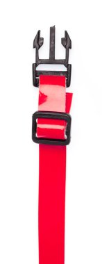 Beyaz bir arka plan üzerinde izole kırmızı köpek tasması