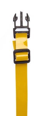 Beyaz arka planda izole edilmiş sarı bir köpek tasması.