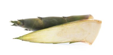 Beyaz arka planda izole edilmiş taze bambu filizleri..