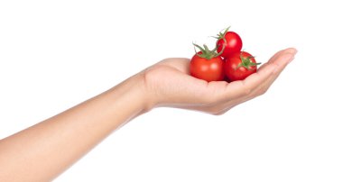 El ele tutuşan taze domates beyaz arka planda izole edilmiş.