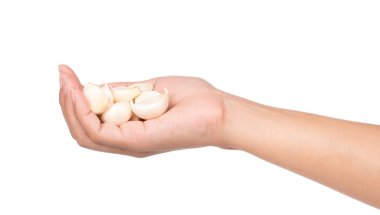 Beyaz arka planda sarımsak tutan el.