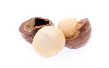 Macadamia fındığı beyaz arkaplanda izole edildi.