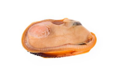 Beyaz arka planda izole edilmiş pişirilmiş midyeler