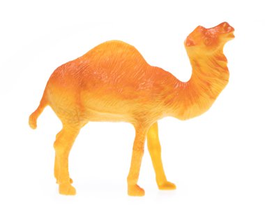 Beyaz arkaplanda izole edilmiş plastik deve