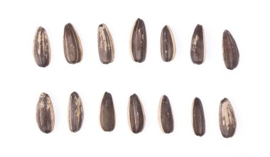 Beyaz arkaplanda izole edilmiş güneş çiçeği tohumları