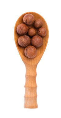 Beyaz arka planda izole edilmiş Macadamia fındığı kepçesi..