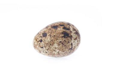 Beyaz arka planda izole edilmiş bıldırcın yumurtası.