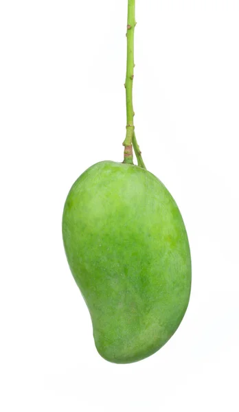 Fruta Manga Verde Fresca Isolada Sobre Fundo Branco — Fotografia de Stock