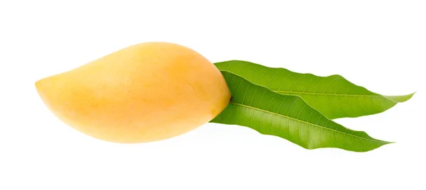 Fruto Mango Con Hojas Aisladas Sobre Fondo Blanco —  Fotos de Stock