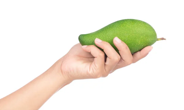 Ręka Gospodarstwa Zielone Mango Izolowane Białym Tle — Zdjęcie stockowe