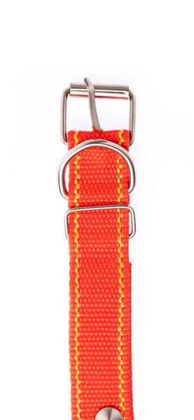 Red of dog collar isolated on a white background