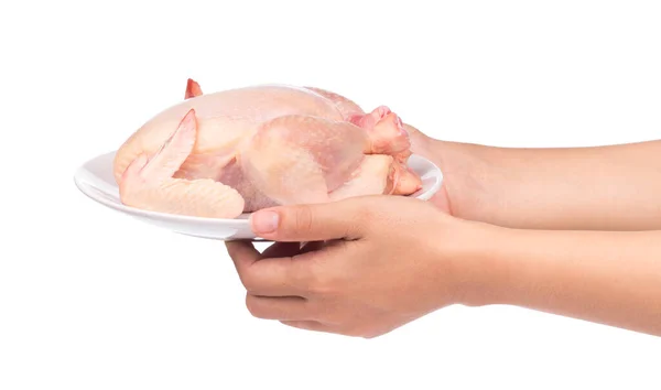 Χέρι Εκμετάλλευση Ακατέργαστο Κοτόπουλο Πιάτο Που Απομονώνεται Λευκό Φόντο — Φωτογραφία Αρχείου