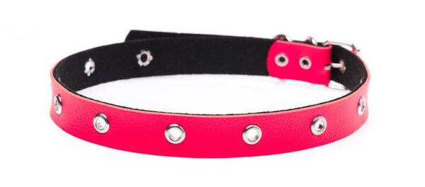 red leather dog collar isolated on white background