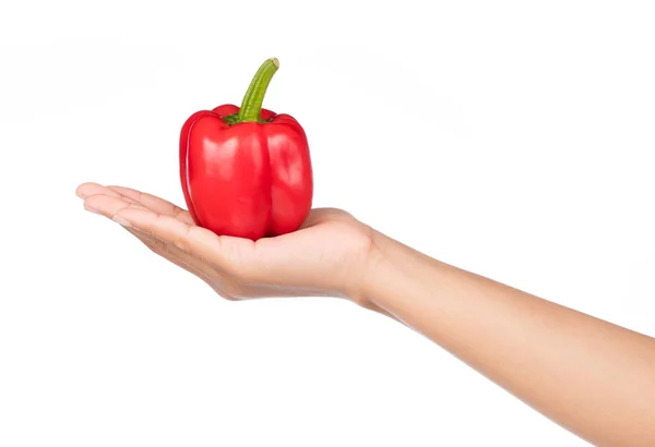 Mano Sosteniendo Pimiento Rojo Aislado Sobre Fondo Blanco — Foto de Stock