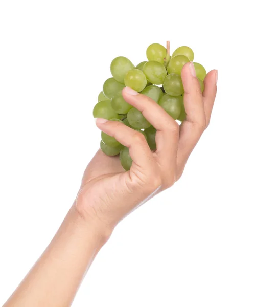 Hand Holding Bunch Grape Green Isolated White Backgroun — Stock Photo, Image