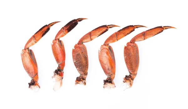 Seluruh Cakar Kepiting Dimasak Terisolasi Pada Latar Belakang Putih — Stok Foto