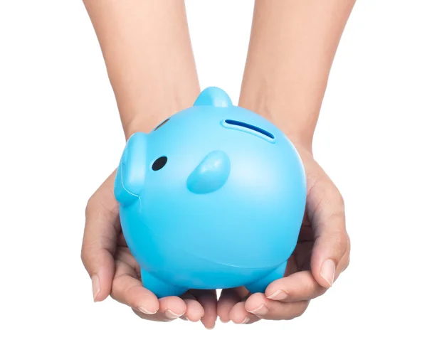 Hand Holding Blue Piggy Bank Isolated White Background — Stock Photo, Image