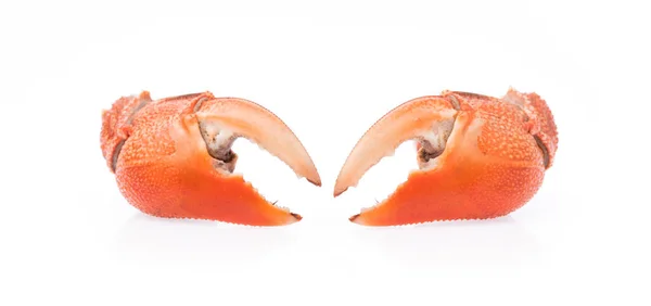 Cooked Whole Claw Crab Isolated White Background — Stock Photo, Image