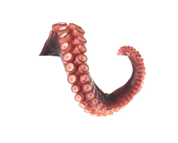 Beyaz arka plan üzerinde izole ahtapot tentacles