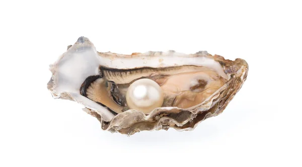 Open Oyster Pearl Isolated White Background Stock Picture