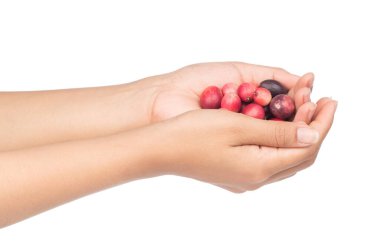 Carissa Carandas Linn, Karanda ve Carunda el ele tutuşuyorlar.