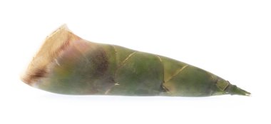 Beyaz arka plan üzerinde izole bambu sürgün sebze.