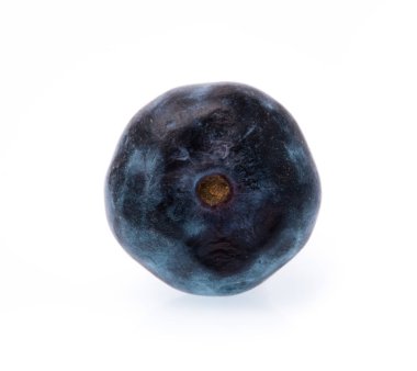 beyaz arkaplanda yaban mersini izole