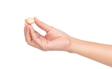 Beyaz arka planda el ele tutuşan Macadamia cevizi.