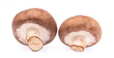 Şampiyon Mantarı beyaz arkaplanda izole edildi