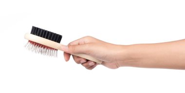 Beyaz arka planda izole edilmiş evcil hayvan bakımı için tarak..