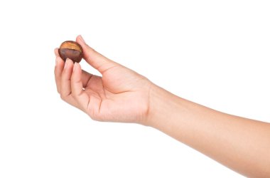 Kestane kestanesini beyaz arkaplanda soyutlamış.